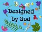 sunday school Designed By God bible craft