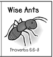 Wise Ants