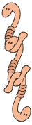 worms