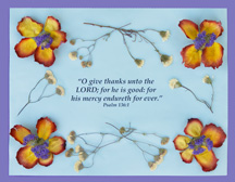 sunday school air dried flowers picture and bible verse craft