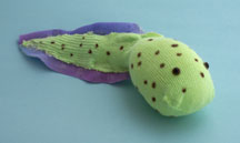 Sock Tadpool Craft for Children