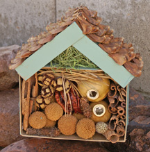 earth day Bug House Craft for kids