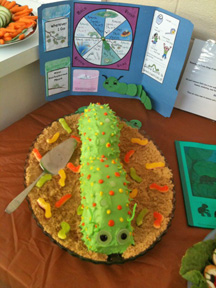 homeschool caterpillar shaped dessert