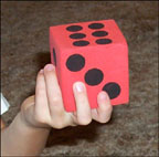 counting wool dice picture