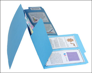 file folder 2