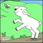 sheep coloring sheet