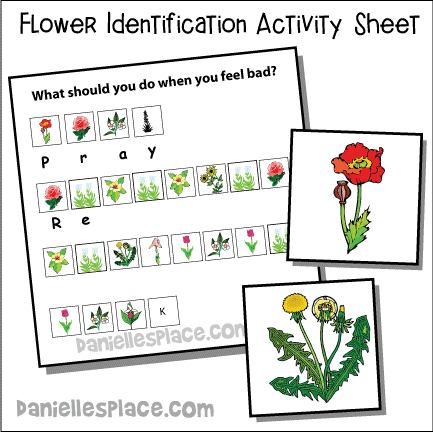 Flower Identification Bible Lesson Review Activity Sheet