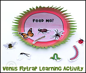 Venus Flytrap paper plate craft with insect printable sheet.  Children see how many bugs they can identify and/or place them in subphylums from www.daniellesplace.com