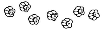 Dog Pawprint Sunday School Game