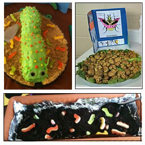 bug buddies studies food www.daniellesplace.com