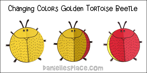 Golden Tortoise Beetle Shape Book