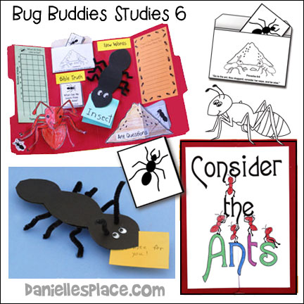 Consider the Ants, Bug Buddies Studies 6