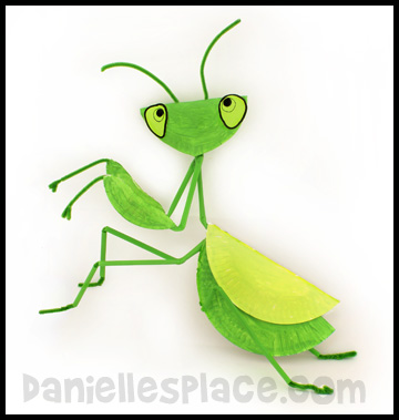 praying mantis life cycle diagram for kids