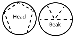 diagram for goose paper plate craft