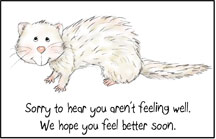 Ferret Postcard