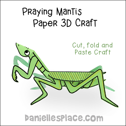 praying mantis life cycle for kids