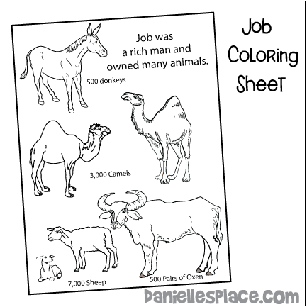Job was a rich man and had many animals coloring sheet for Sunday School