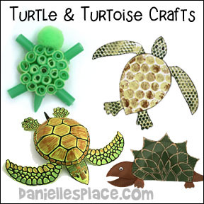 Turtle Tortoise Crafts