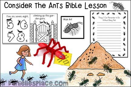 Consider The Ants Bible Lesson 95 