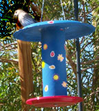 paper plate bird feeder
